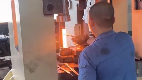 OEM Machinery Precision Steel/Aluminium/Brass/Titanium Metal Closed Die Forging