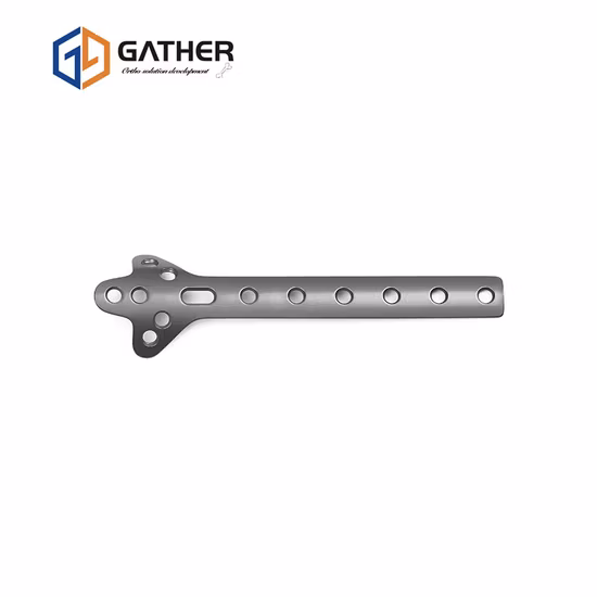 Distal Dorsal Plate of Radius Titanium Fracture Full Types Implant Orthopedic Instruments Plate