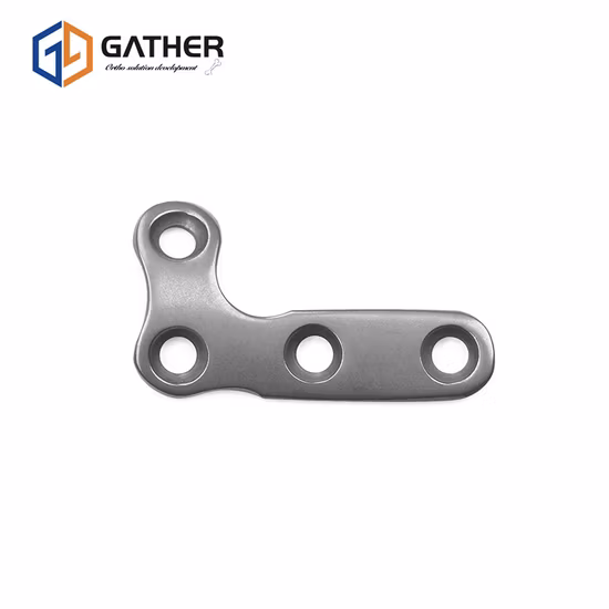 Distal Dorsal Plate of Radius Titanium Fracture Full Types Implant Orthopedic Instruments Plate