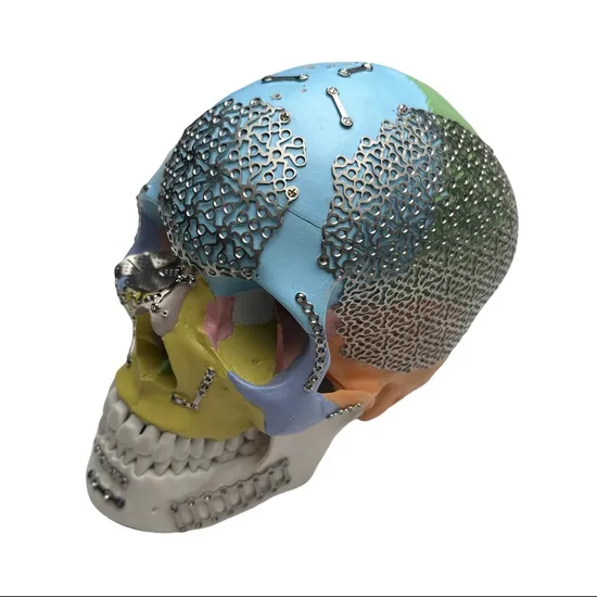 Orthopedic Implants Trauma Surgical Reconstruction Straight Titanium Cranial Maxillofacial Mini Bone Plate 